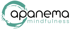 apanema mindfulness photographer video producer